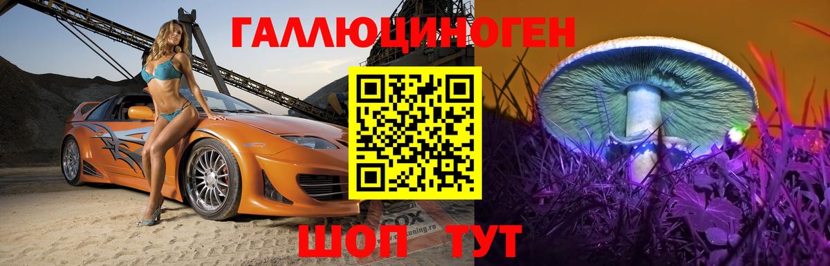 Псилоцибиновые грибы Psilocybine cubensis Нефтекумск